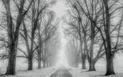 Depresja zimowa – czy istnieje?